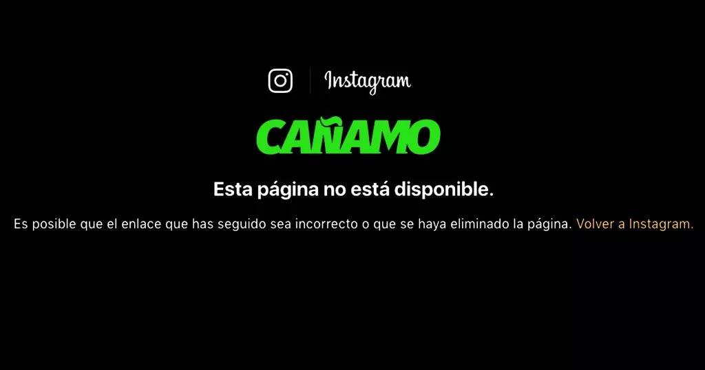 Cierra la página de Instagram de Cáñamo Chile