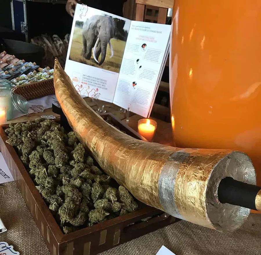 El porro “colmillo de elefante” se vende por 4.000 dólares