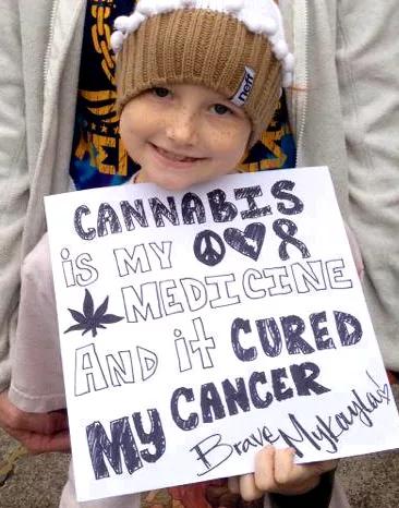  cannabis cáncer