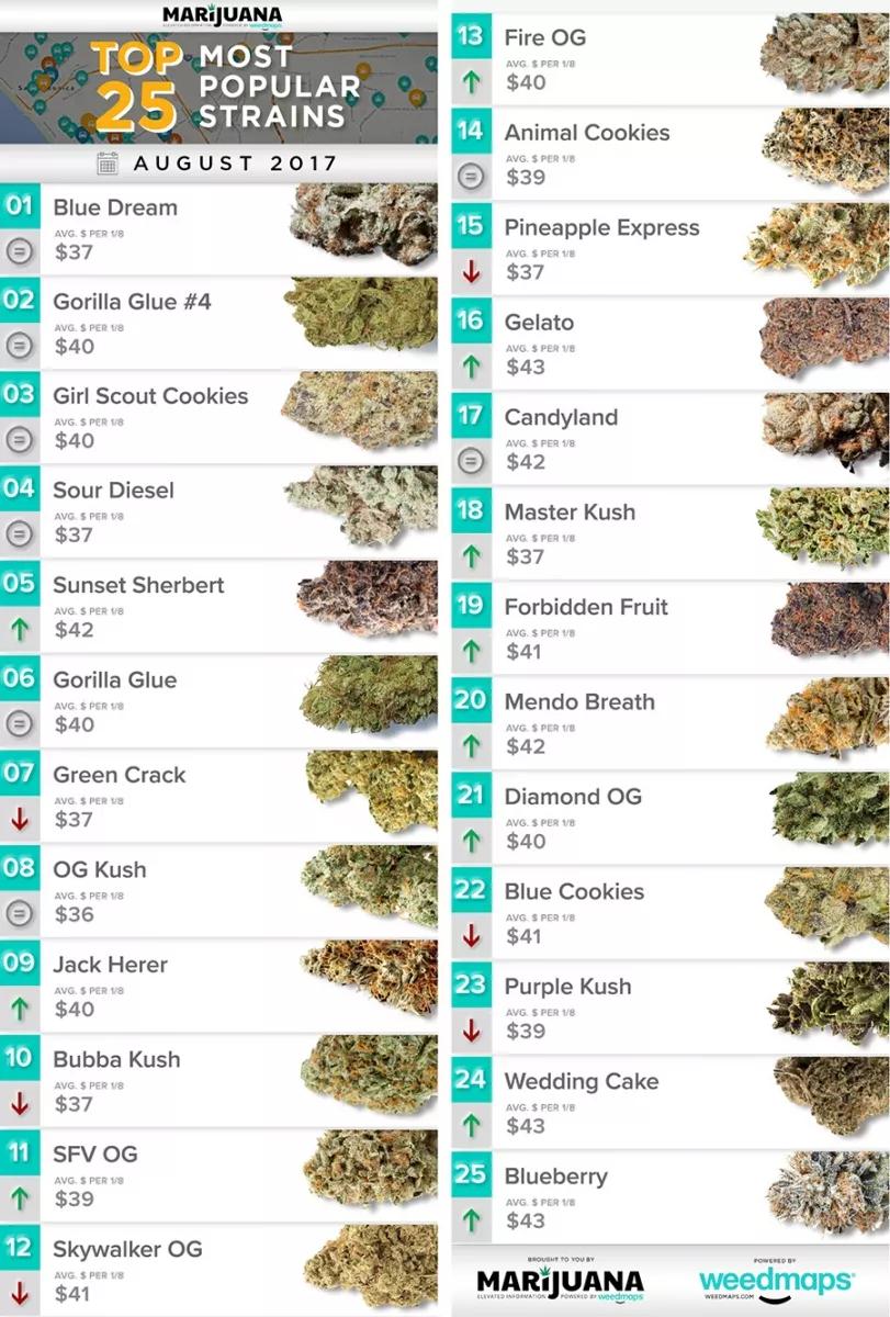 Las 25 variedades más populares de cannabis en agosto