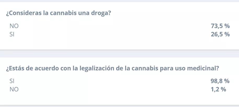 Según el primer censo cannábico en Chile el 98% apoya la legalización medicinal