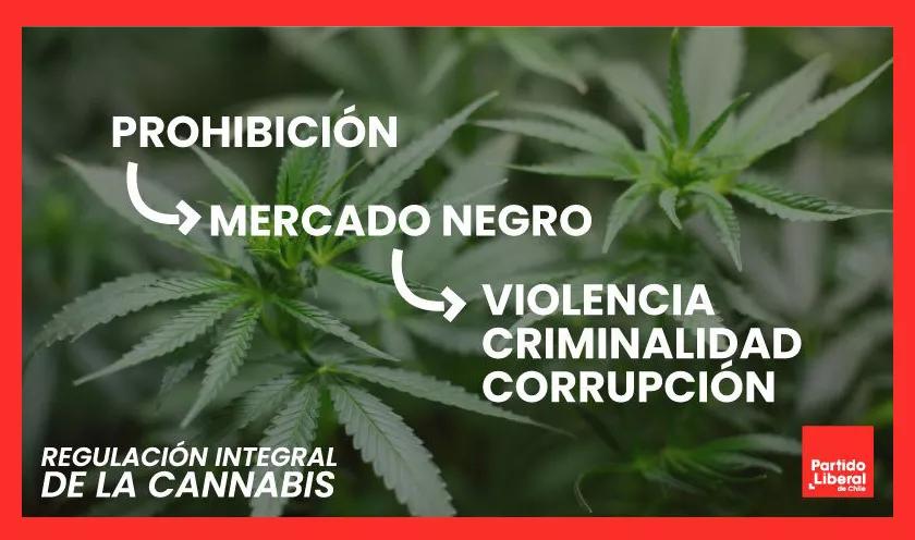 Oposición chilena impulsa la legalización de la marihuana