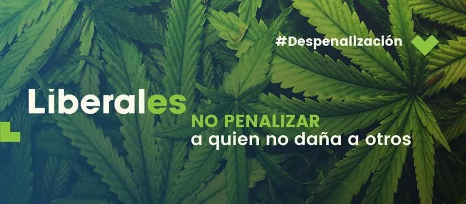 Oposición chilena impulsa la legalización de la marihuana