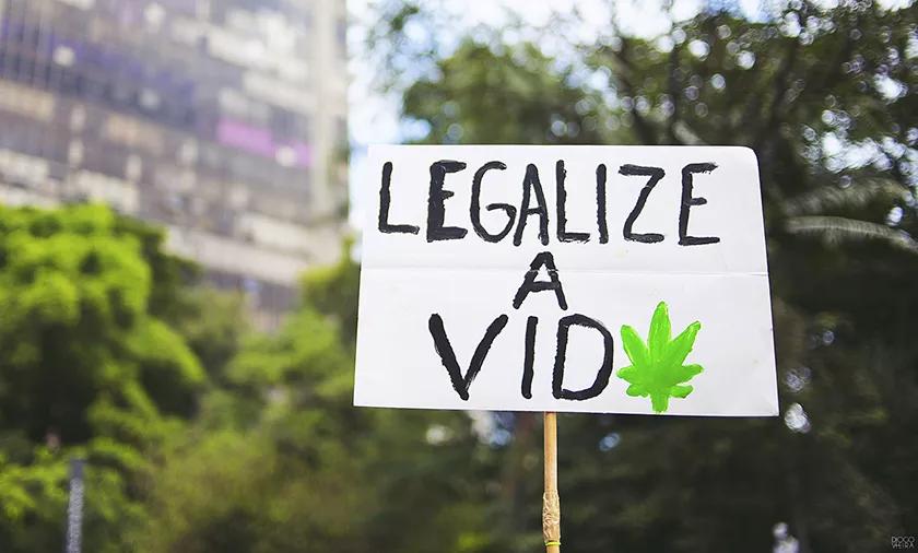 Legisladores brasileños aprueban propuesta sobre marihuana medicinal
