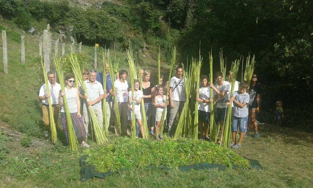 La hierba rescata a los agricultores italianos