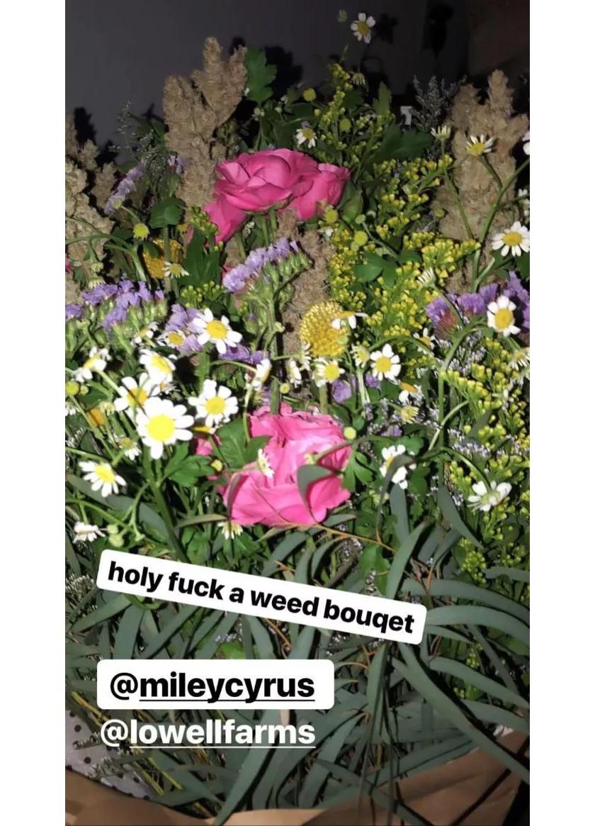 Miley Cyrus le regala marihuana a su hermana Noah por su cumpleaños