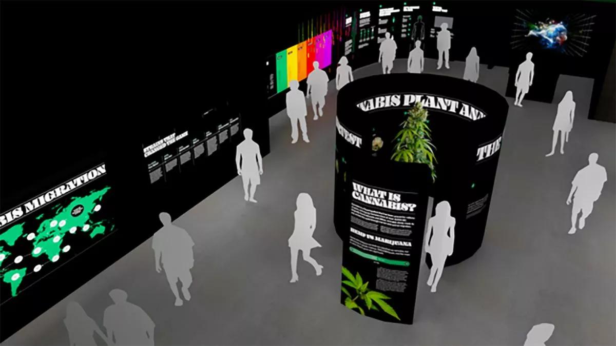 Museum of Weed
