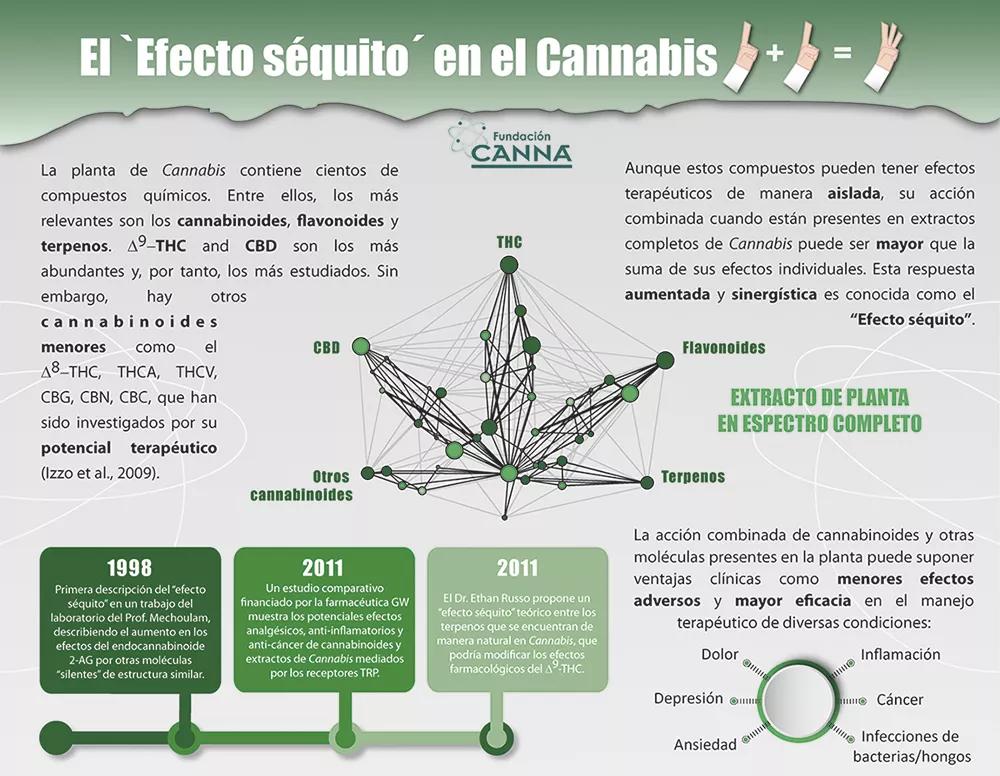 El "efecto séquito" en el cannabis