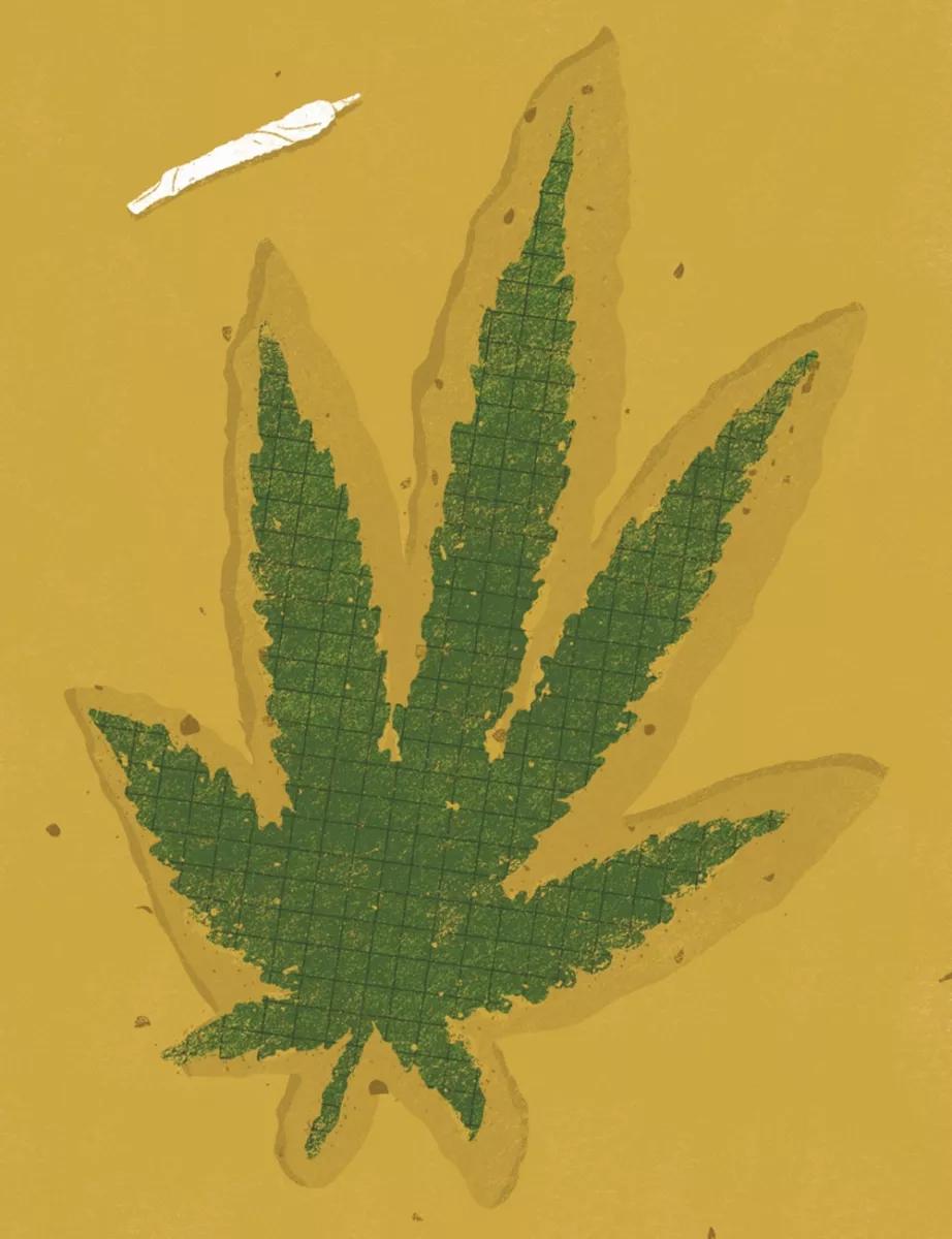 Ilustración hoja de Marihuana