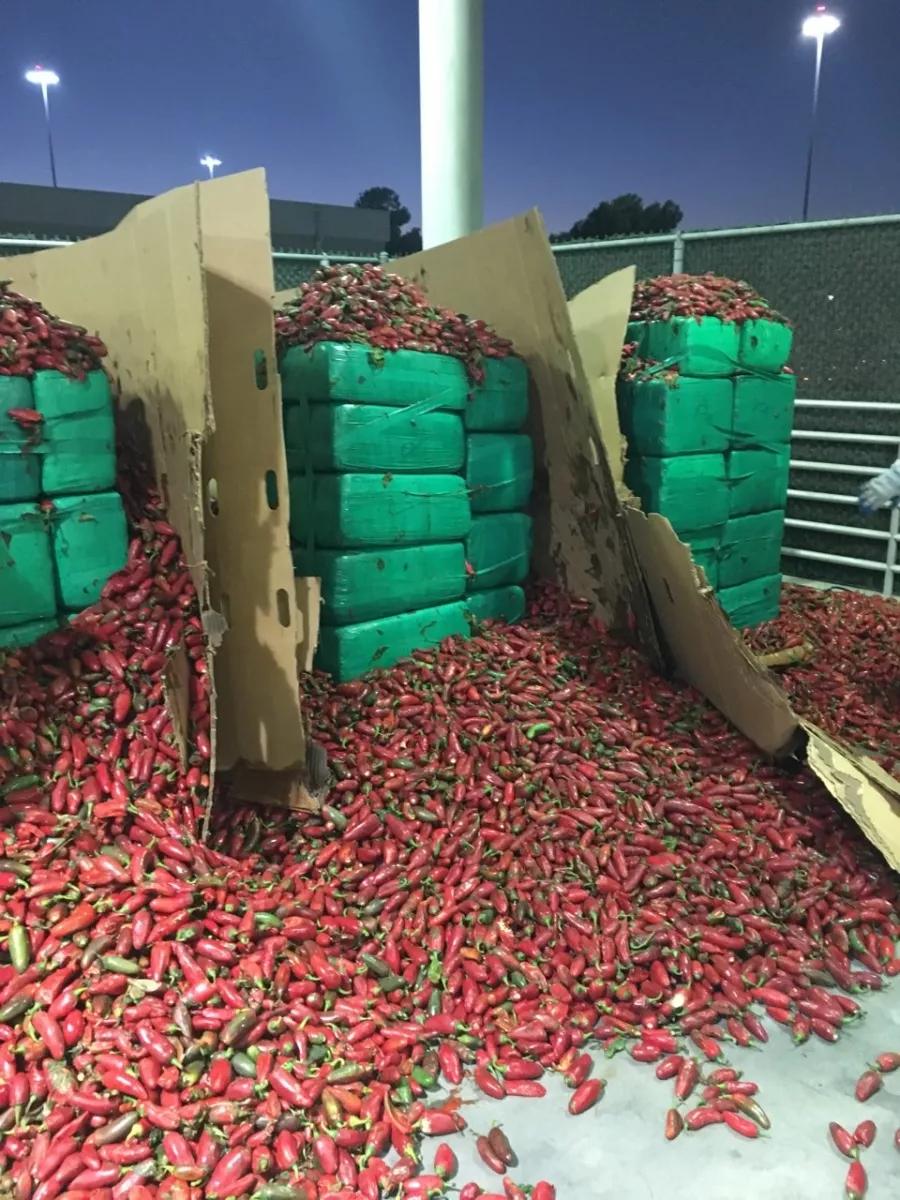 Casi 3 toneladas de cannabis ocultas entre chile jalapeños