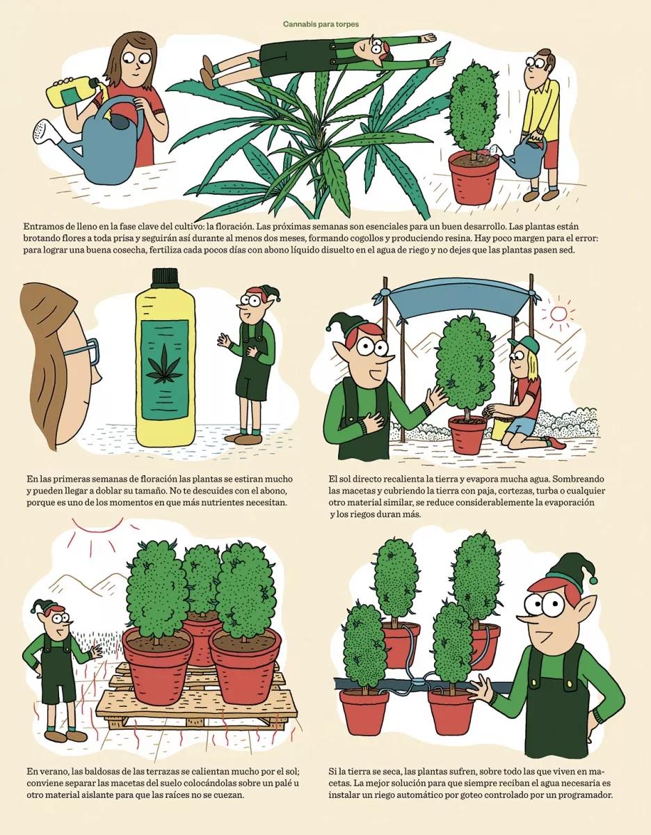 Cannabis para tontos