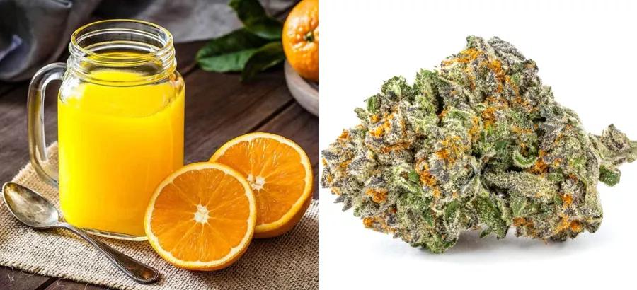Zumo de naranja – Clementine