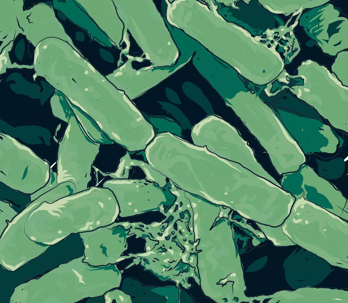 Ilustración Bacillus thuringiensis