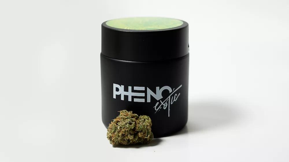 Melonade by Pheno Exotic