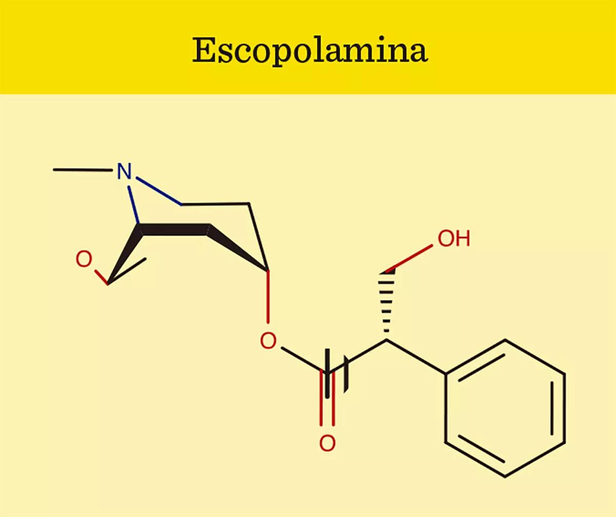 Escopolamina