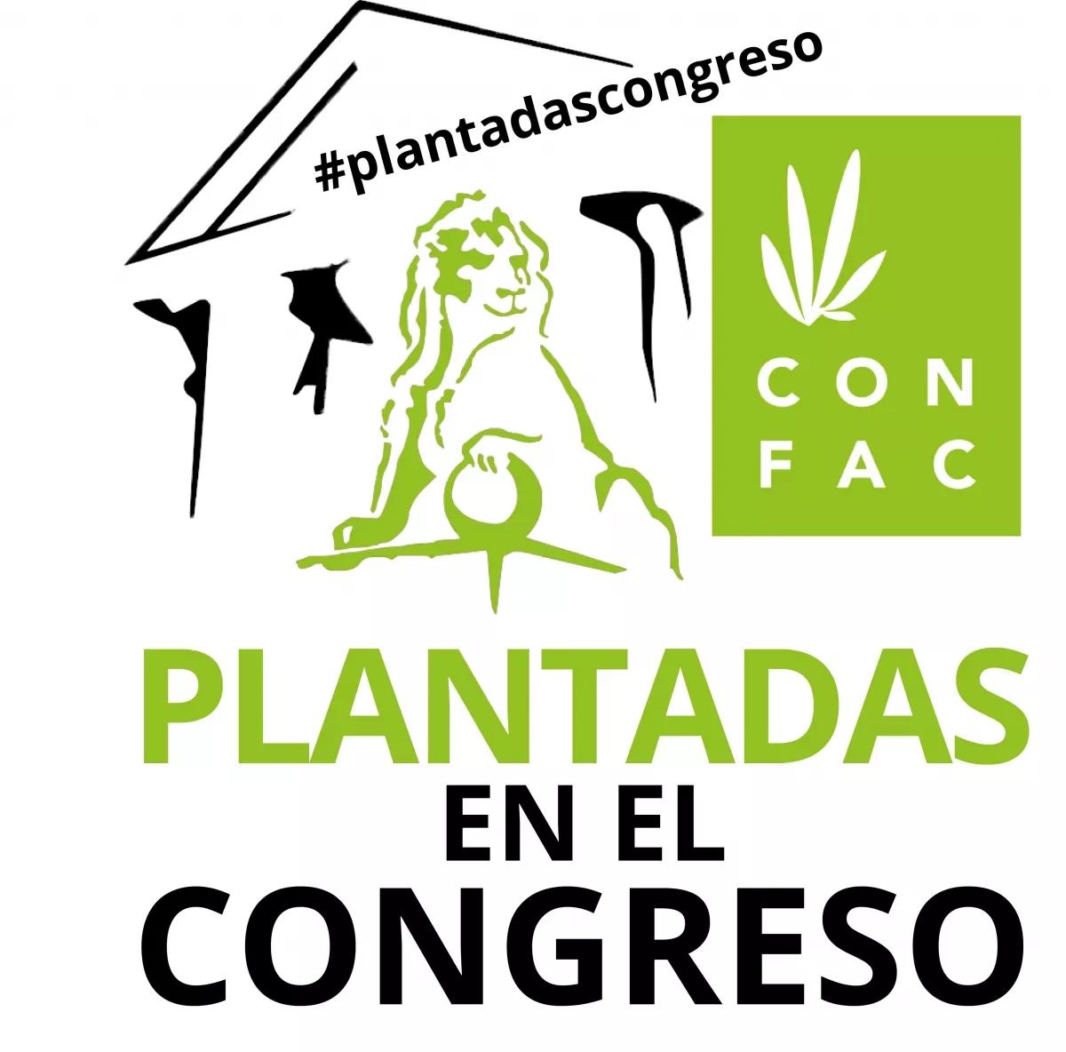 Plantadas en el Congreso