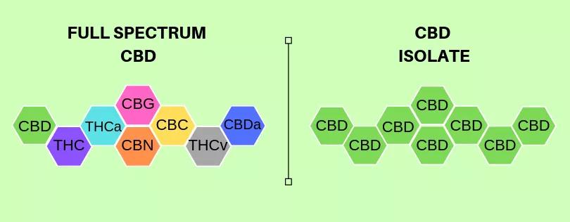Diferencias entre el full spectrum y el broad spectrum CBD