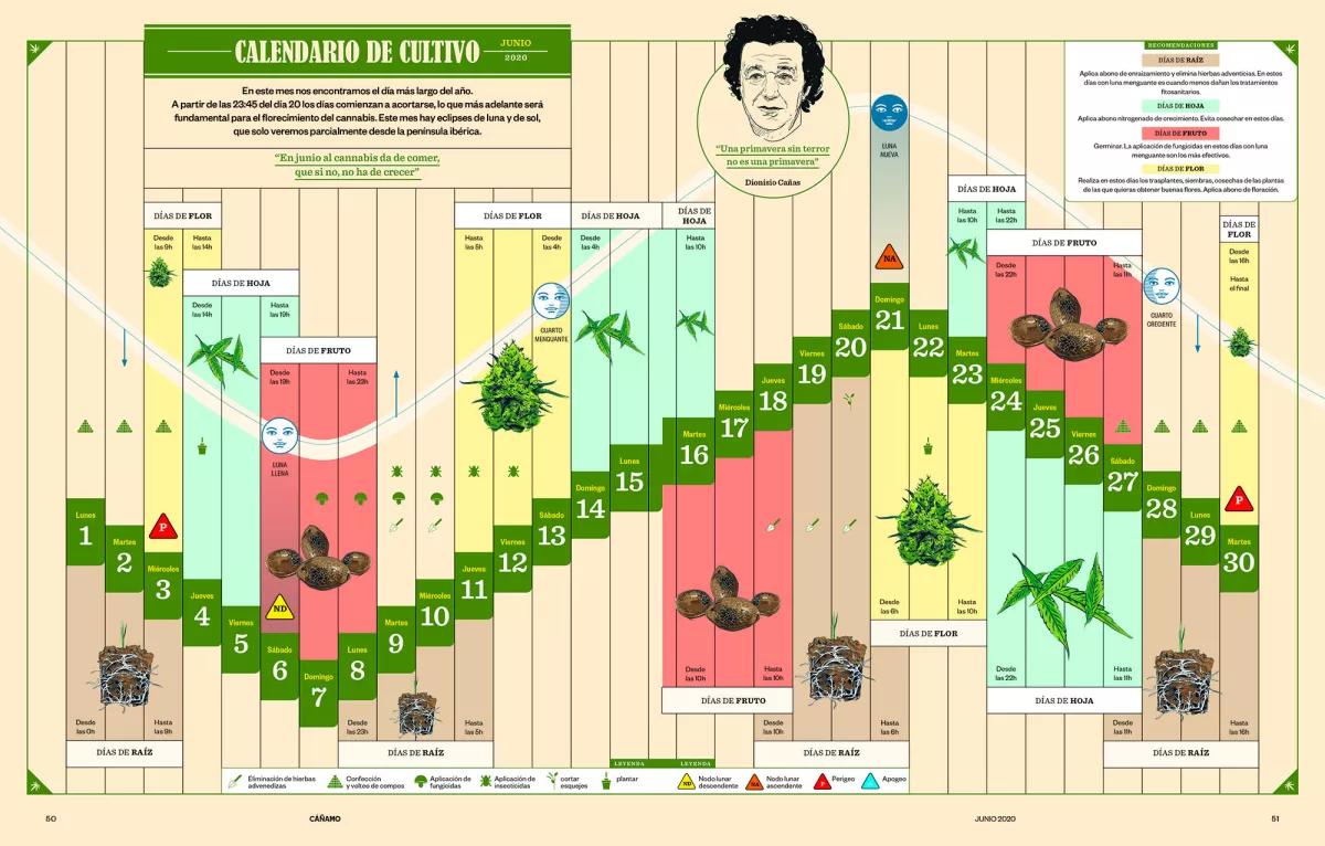 Calendario de cultivo - Junio 2020