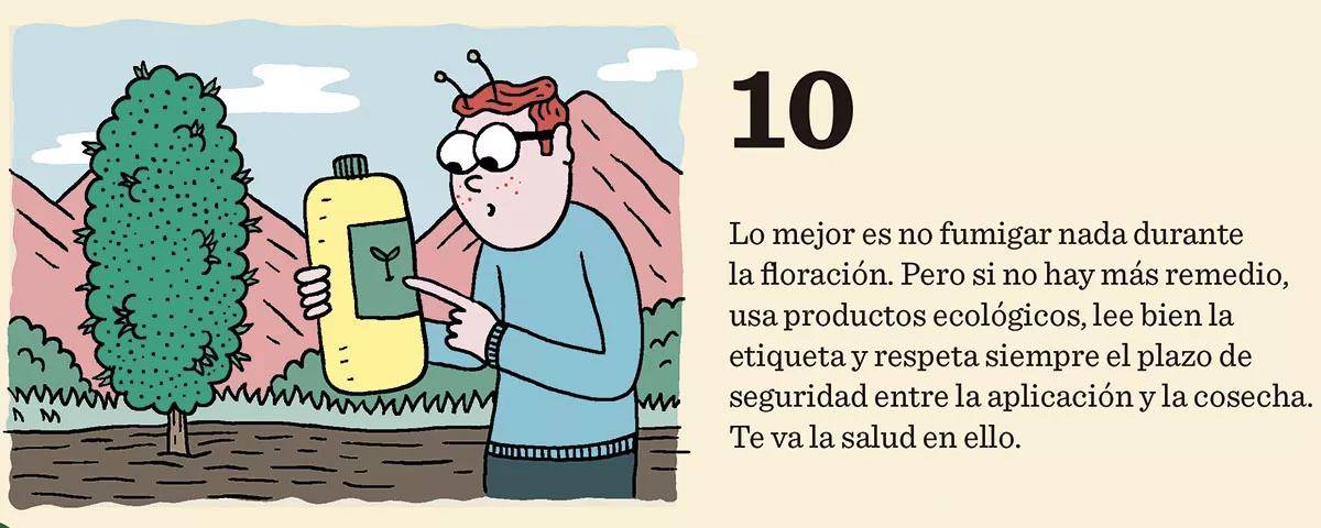 10 consejos para combatir las plagas