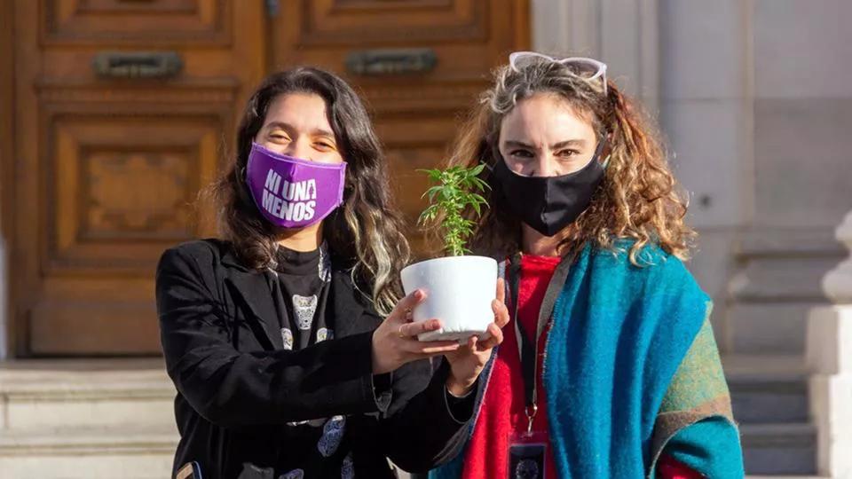 Las diputadas Agustina Donnet y Mónica Peralta en la puerta de la Cámara de Diputados con una planta de marihuana