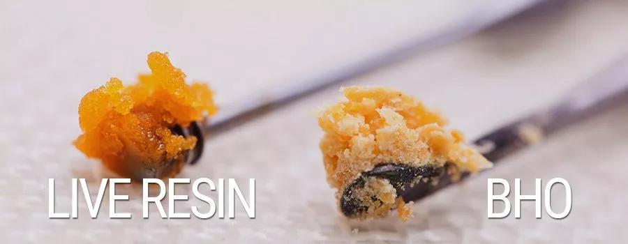 ¿Qué son los concentrados live resin?