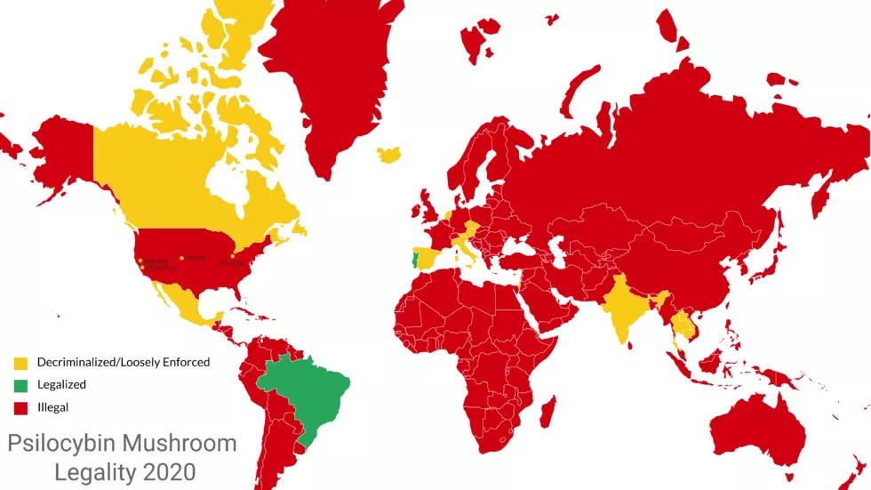 Los esfuerzos por descriminalizar la psilocibina se extienden por los Estados Unidos