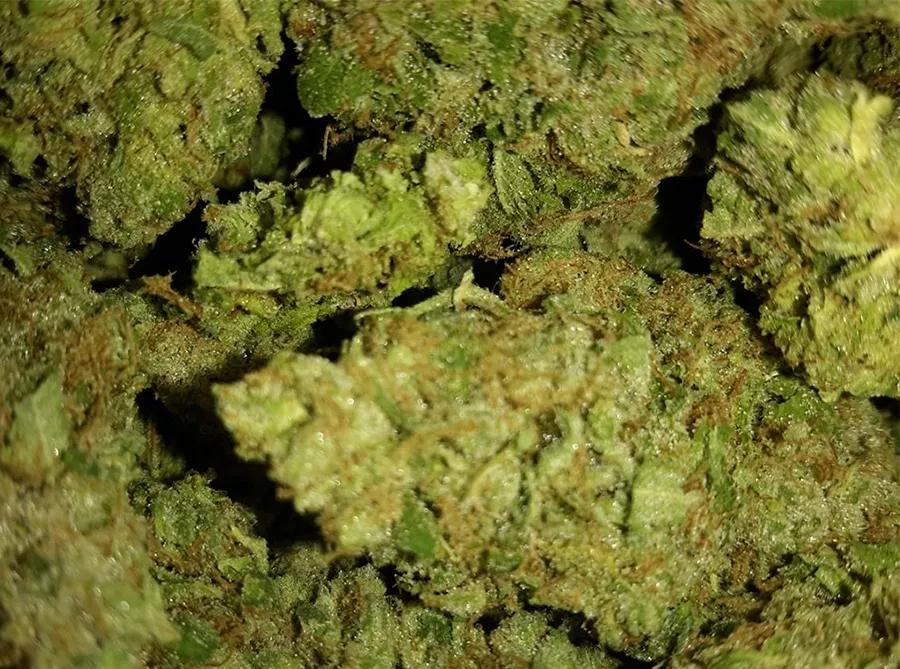 Sour Diesel