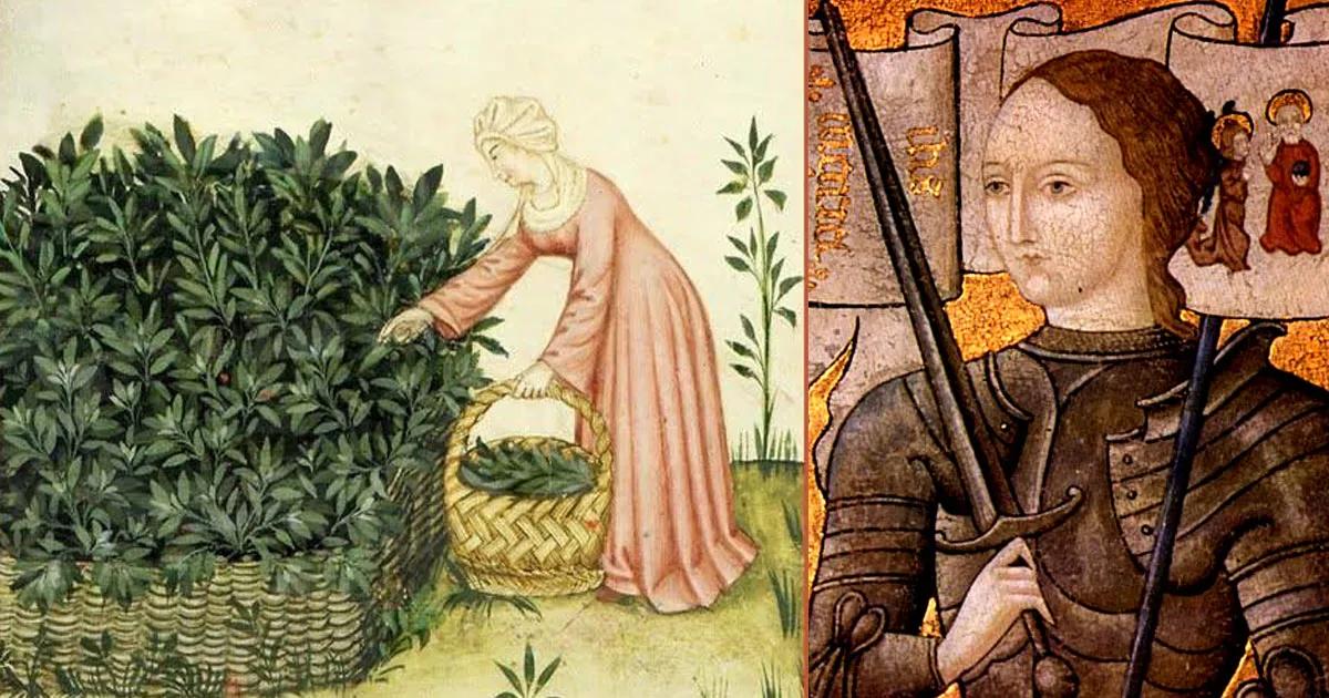 Juana de Arco cannabis