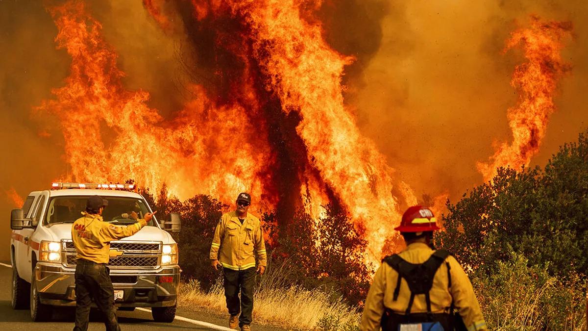 California lleva ardiendo semanas. Uno de los mayores productores de cannabis del mundo está acosado por el destructor fuego.