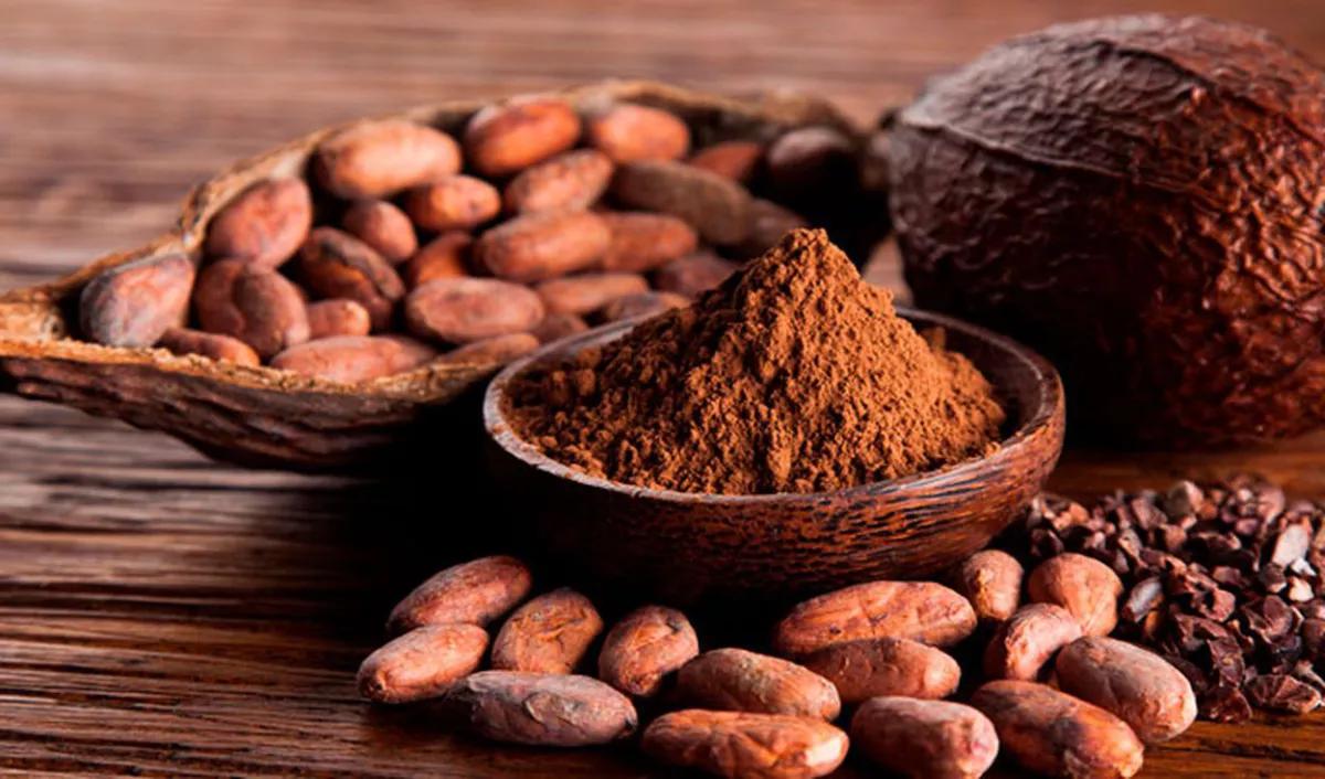 El cacao es una sustancia psicoactiva