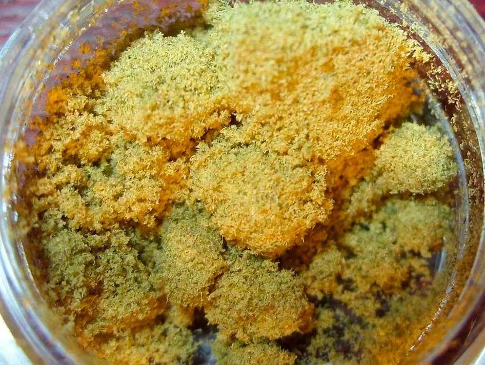 Cómo recolectar kief de tu cannabis