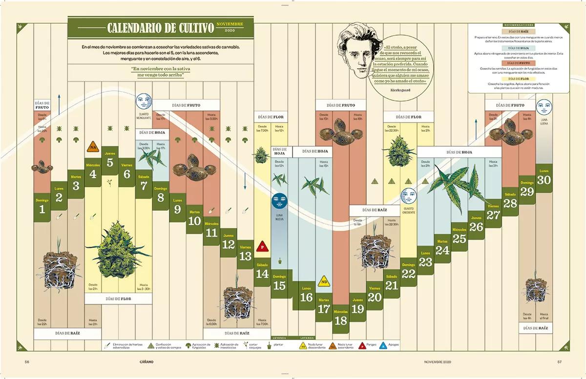 Calendario de cultivo - Noviembre 2020