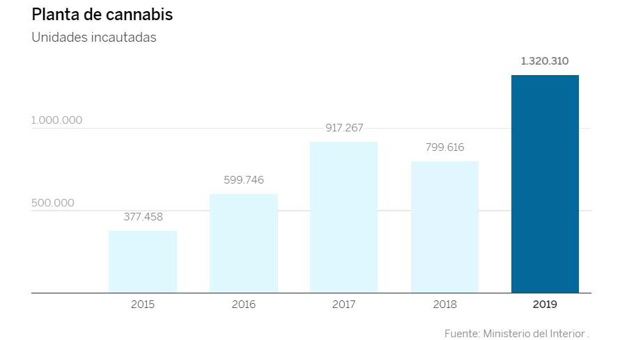 Récord en incautación de plantas en 2019 en España: 1.538.995