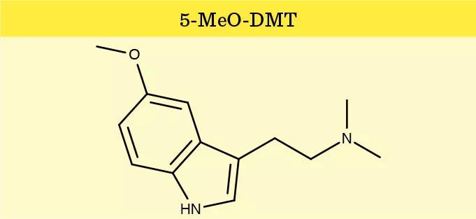 5-MEO-DMT