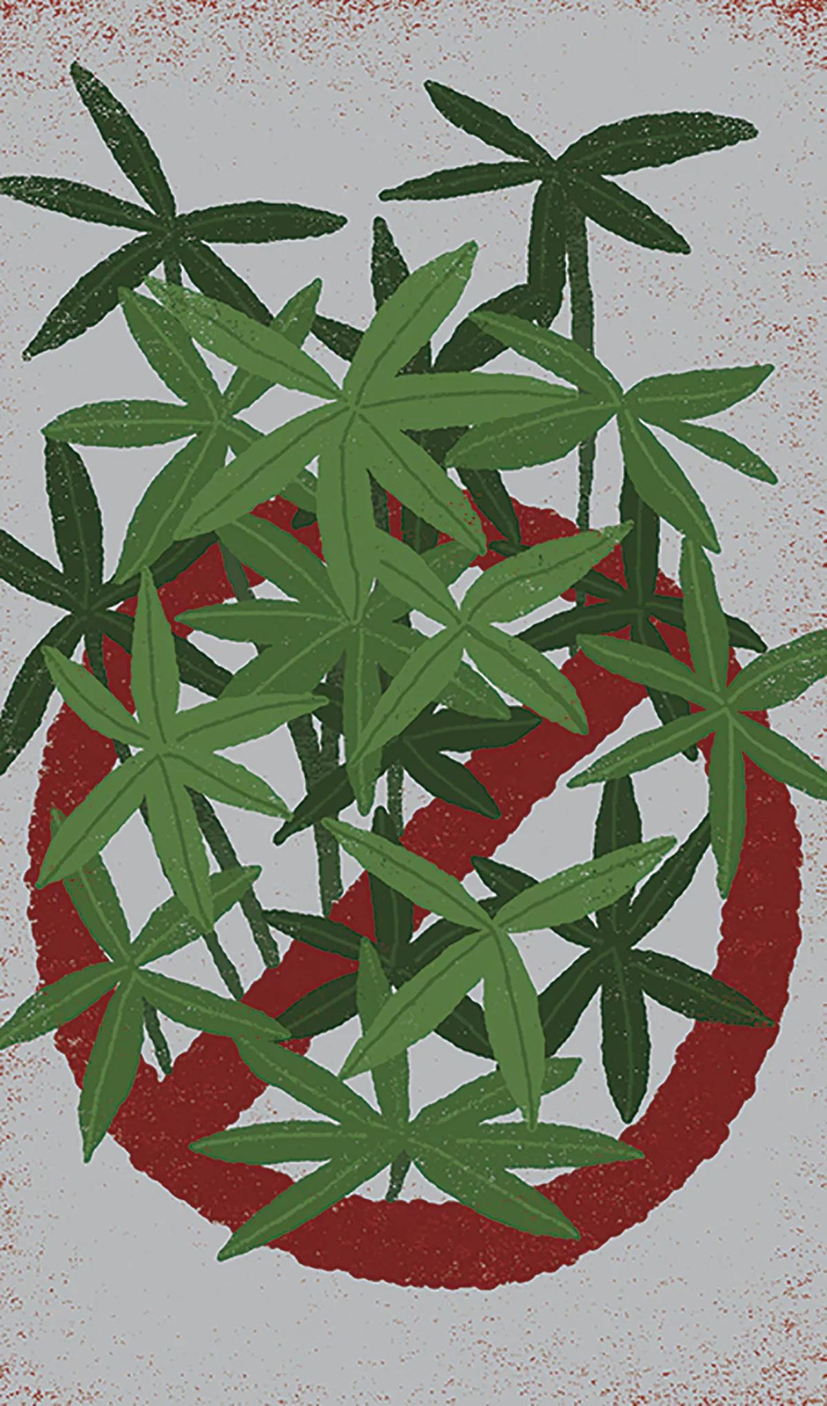Ilustración: Prohibición cannabis