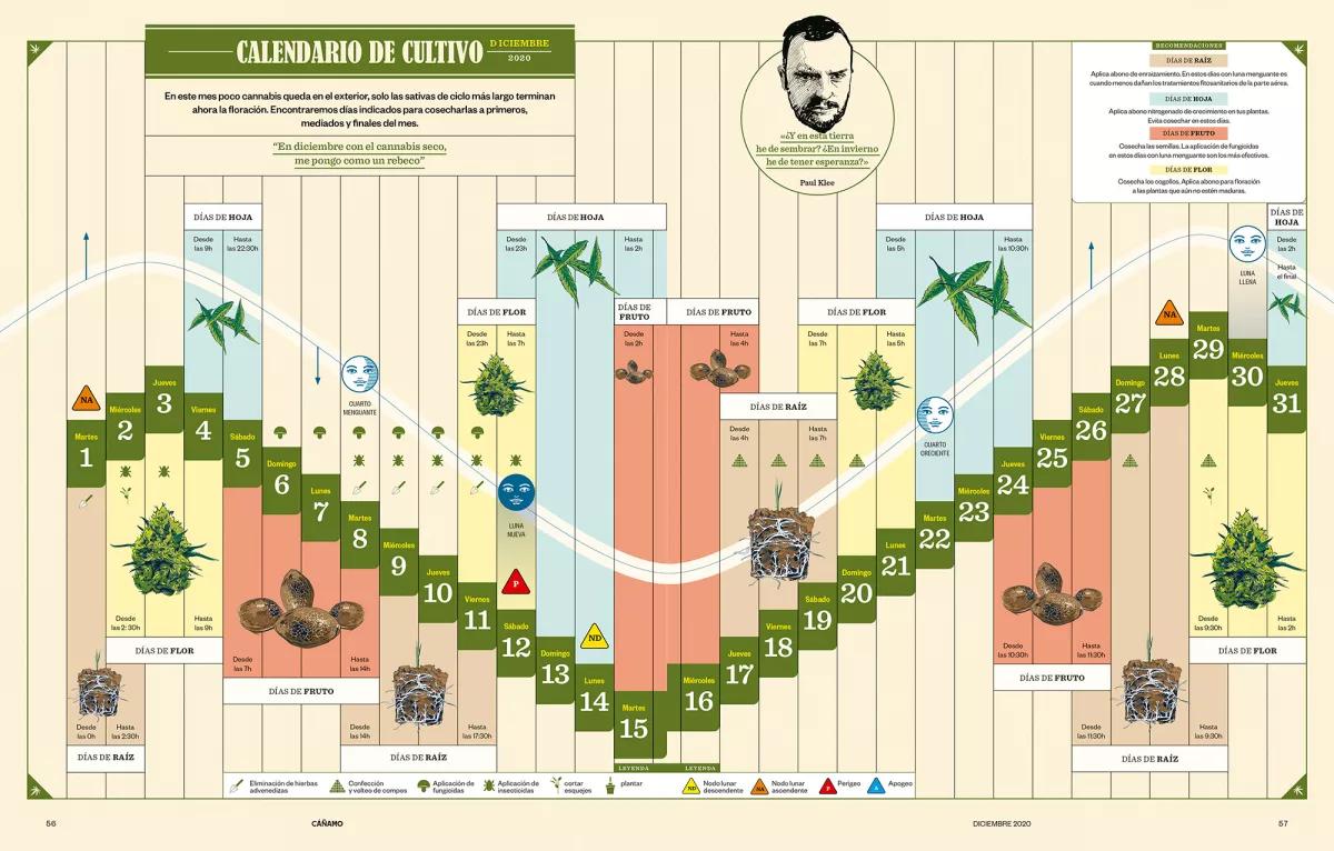 Lunario de diciembre 2020: Cosechar y descansar