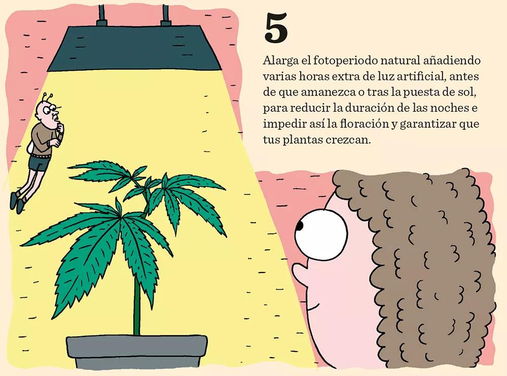 Ocho pasos para tener un cultivo invernal