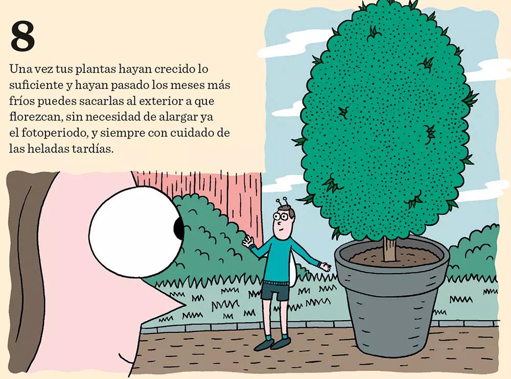 Ocho pasos para tener un cultivo invernal