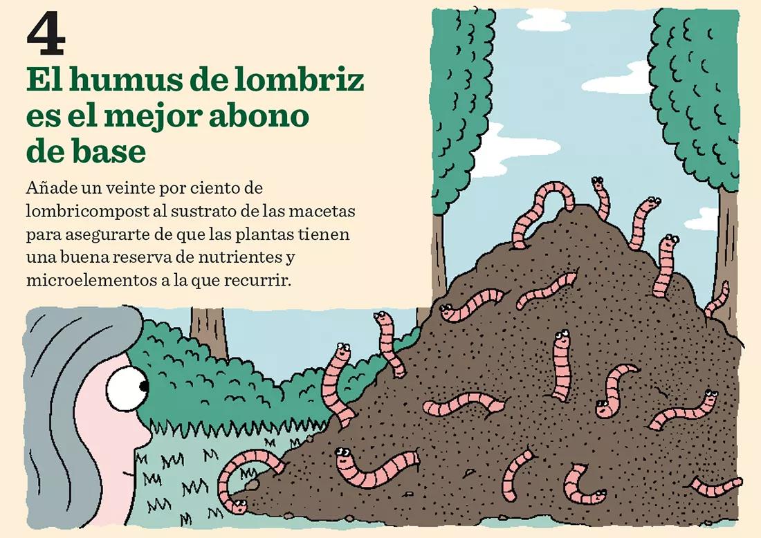 El humus de lombriz es el mejor abono de base. Añade un veinte por ciento de lombricompost al sustrato de las macetas para asegurarte de que las plantas tienen una buena reserva de nutrientes y microelementos a la que recurrir.