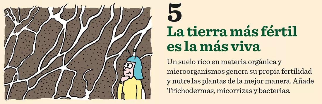 La tierra más fértil es la más viva. Un suelo rico en materia orgánica y microorganismos genera su propia fertilidad y nutre las plantas de la mejor manera. Añade Trichodermas, micorrizas y bacterias.