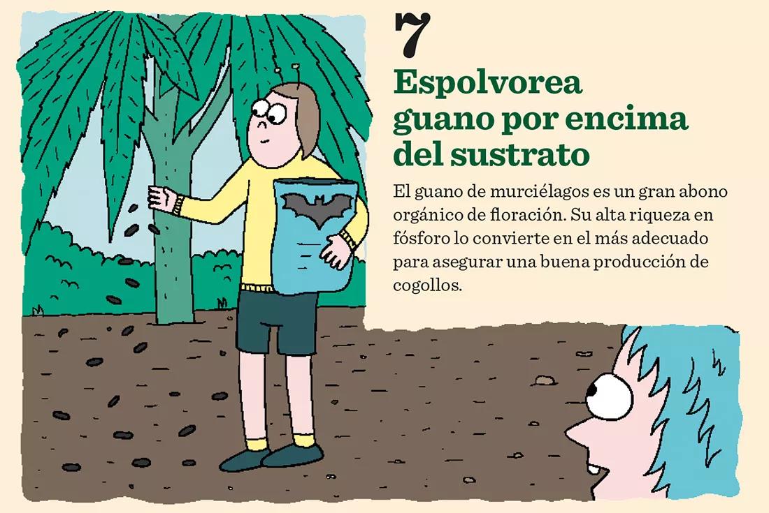 Espolvorea guano por encima del sustrato. El guano de murciélagos es un gran abono orgánico de floración. Su alta riqueza en fósforo lo convierte en el más adecuado para asegurar una buena producción de cogollos.