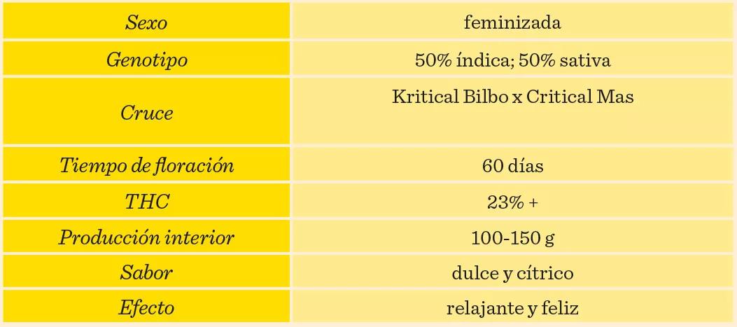 BCN Critical XXL Fem de Seedstockers