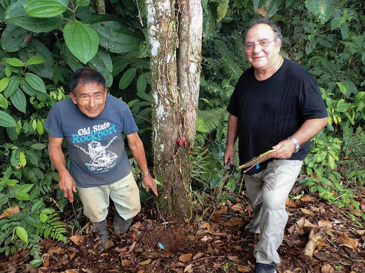 Fericgla en compañía del chamán shuar Gabriel plantando una de las lianas de ayahuasca que forman parte del proyecto etnobotánico de la casa Etno-Ahuano. 