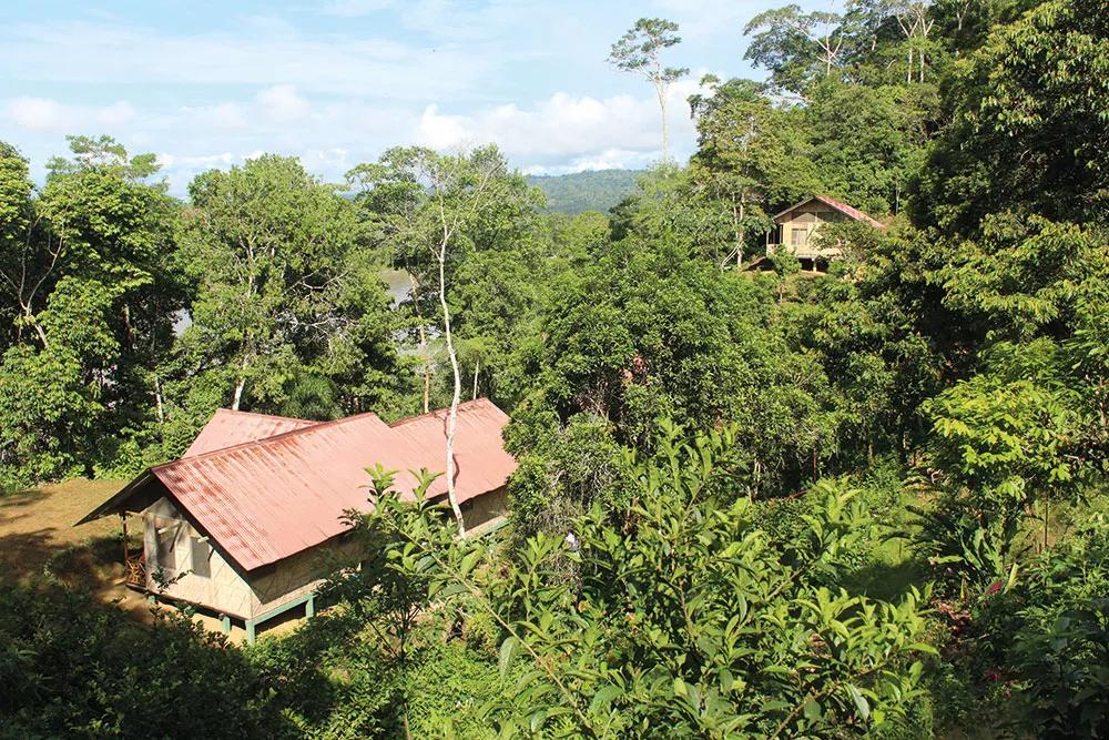 Cabañas para huéspedes de la casa Etno-Ahuano.