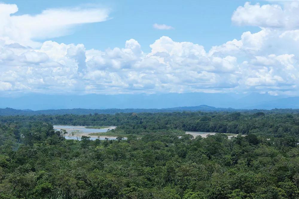 Por el río Napo desembocó Francisco de Orellana en el Amazonas.