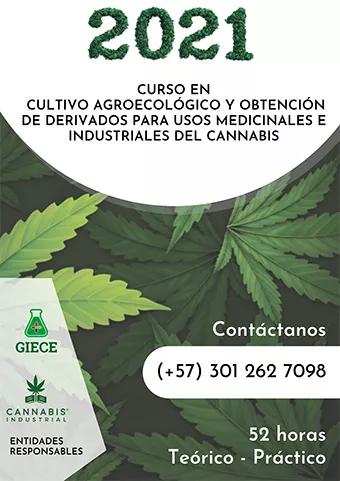 Curso de cultivo y obtención de derivados para usos medicinales e industriales del cannabis