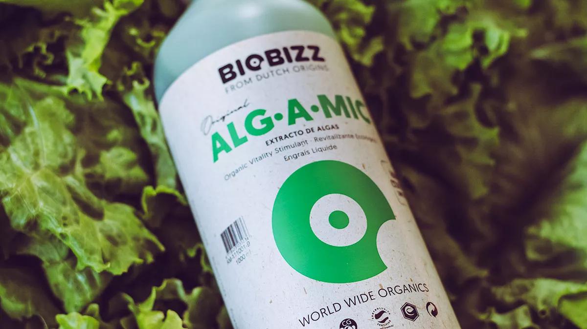 Alg·A·Mic de Biobizz: el superalimento para las plantas
