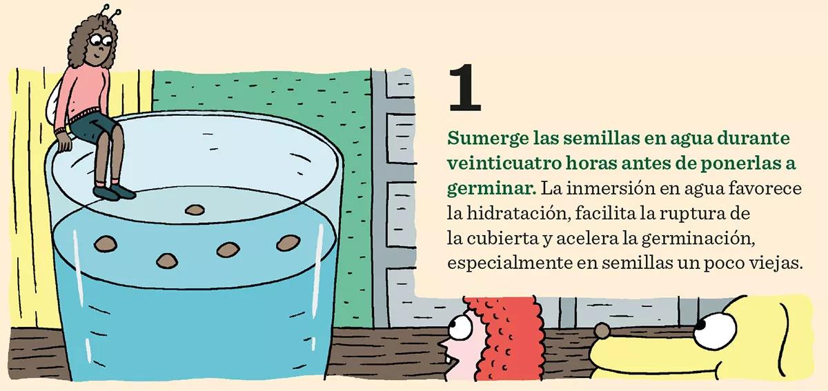 Diez consejos para la germinación y el primer crecimiento 