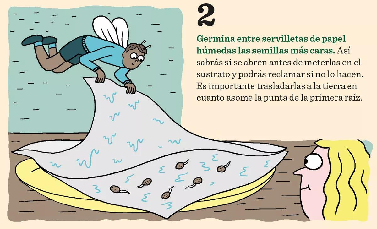 Diez consejos para la germinación y el primer crecimiento 