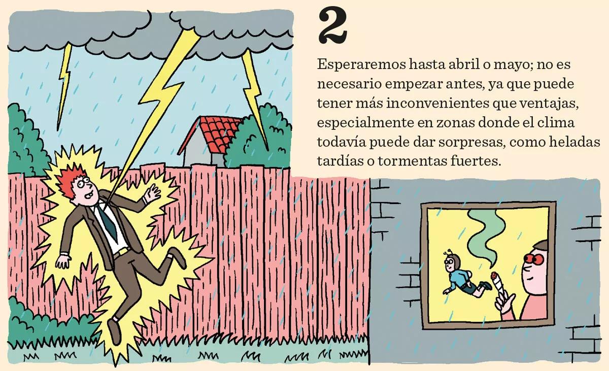 Los diez pasos básicos para la primera cosecha 